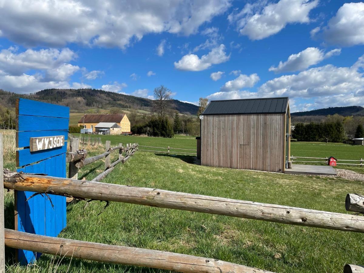 Domek Pod Stromcem Черниця Екстер'єр фото